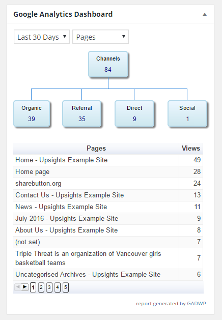 screenshot of pages report in analytics widget
